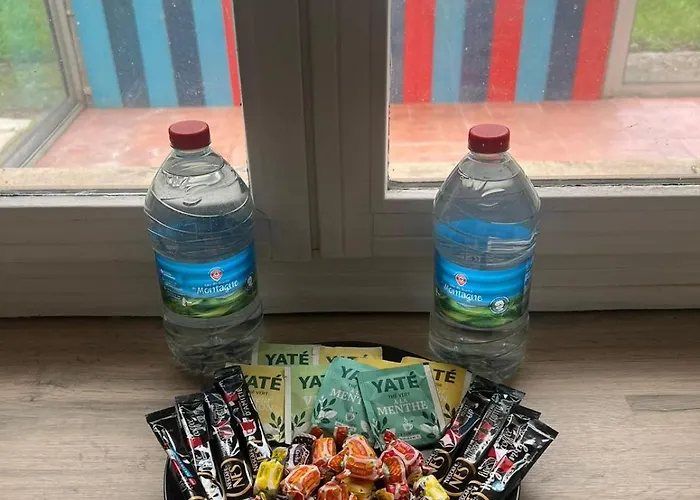 Apartment Maison Spacieuse - Proche Centre Tours